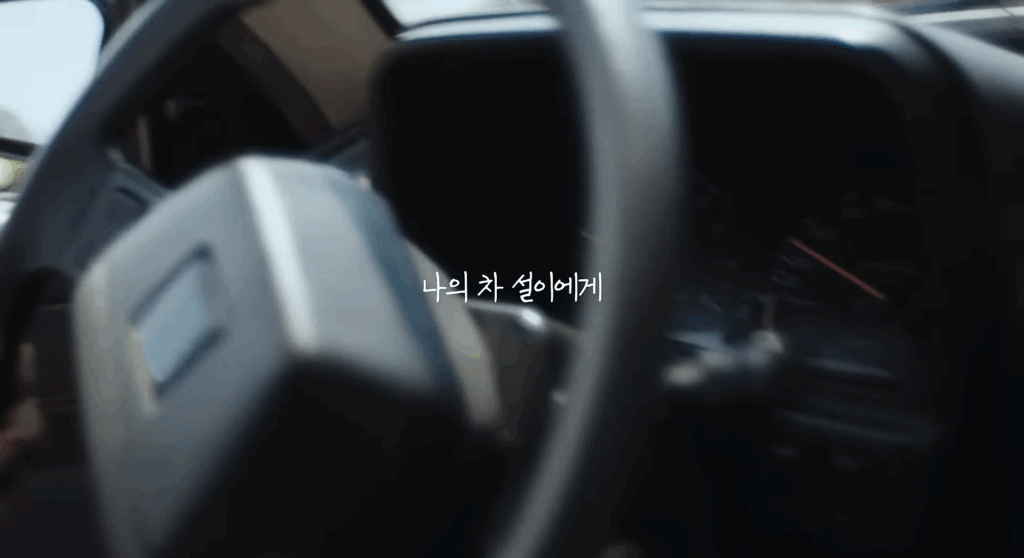 헤이딜러