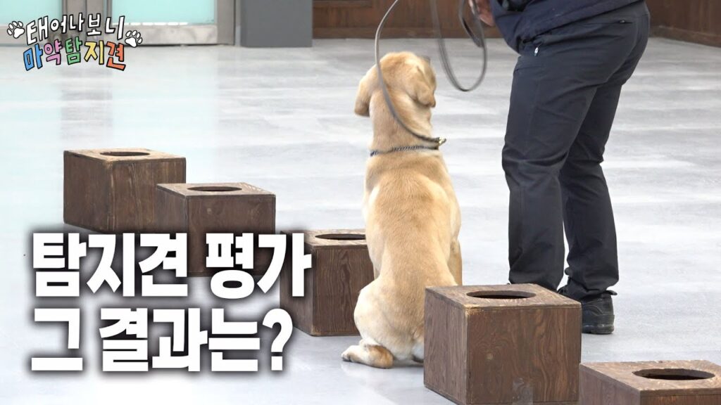 킁킁로그로 보는 MZ 소통법 : B급 바이브로 A급 브랜딩하기 11 maxresdefault 1
