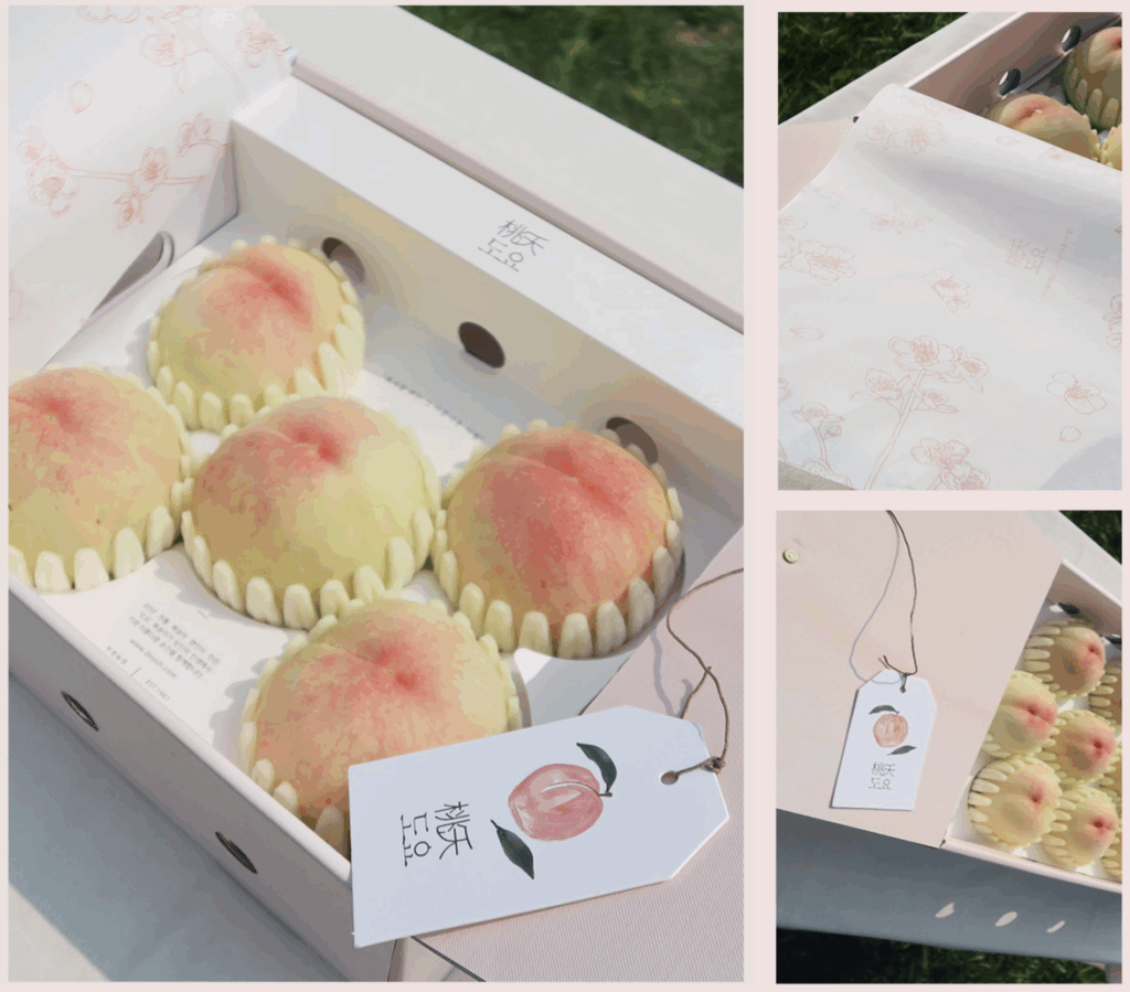 🍑지금은 '복켓팅' 신드롬 중! 복숭아로 팝업스토어, 어떻게 할까? 12 온브릭스 복켓팅 팝업 도요