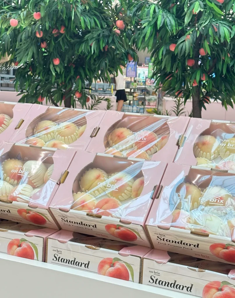 🍑지금은 '복켓팅' 신드롬 중! 복숭아로 팝업스토어, 어떻게 할까? 13 온브릭스 복켓팅 팝업스토어004
