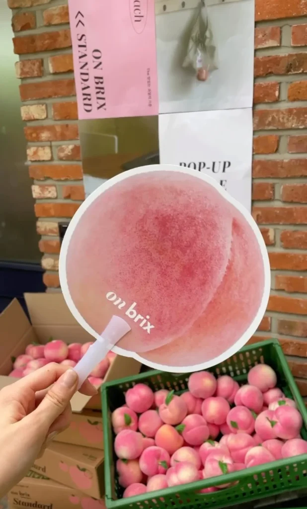 🍑지금은 '복켓팅' 신드롬 중! 복숭아로 팝업스토어, 어떻게 할까? 16 온브릭스 복켓팅 팝업스토어008