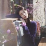 MZ세대는 왜 겪어본 적도 없는 레트로를 그리워할까? : 아네모이아 현상