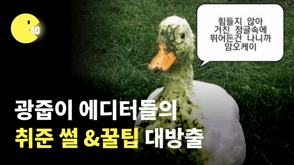 광고AE, 마케터 크루 '광고줍줍 광줍이'의 취준 꿀팁 대방출