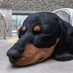 젠틀몬스터 신사옥, ‘하우스 노웨어 서울’이 보여주는 리테일의 미래