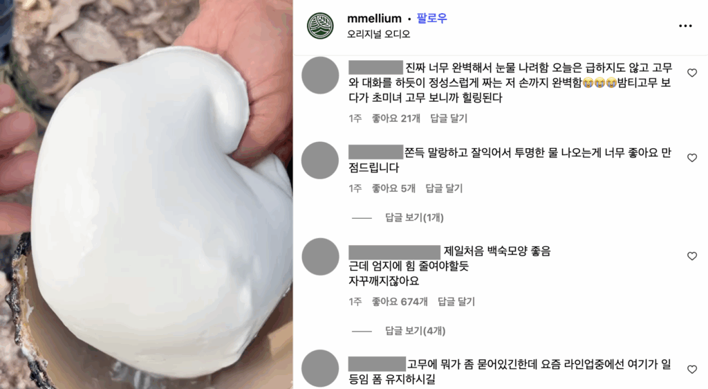 최신 밈 고무짜기 영상