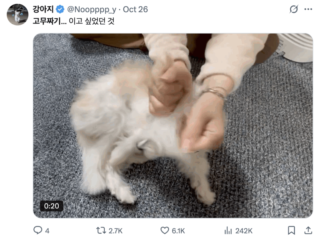 갑차기스러운데 유행 밈 소개해도 돼? (2025년 10월 최신 밈 모음 zip.) 48 스크린샷 2025 10 27 오후 10.24.07