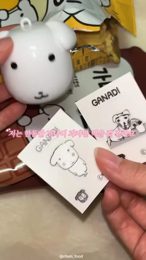 대 캐릭터 시대! 가나디를 통해 배우는 인디 IP 성공 전략 3가지 30 소마코 VS 3Instagram 030