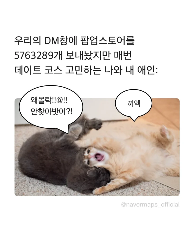 소마코 562574994 17987212265890950 2670114169967628168 n