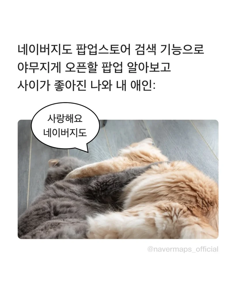 소마코 563000261 17987212277890950 5090414217790383707 n