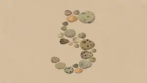 클로드 업데이트 소식 : Opus 5, 가격은 더 싸고 성능은 비슷