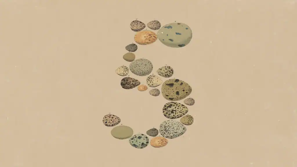 클로드 업데이트 소식 : Opus 5, 가격은 더 싸고 성능은 비슷