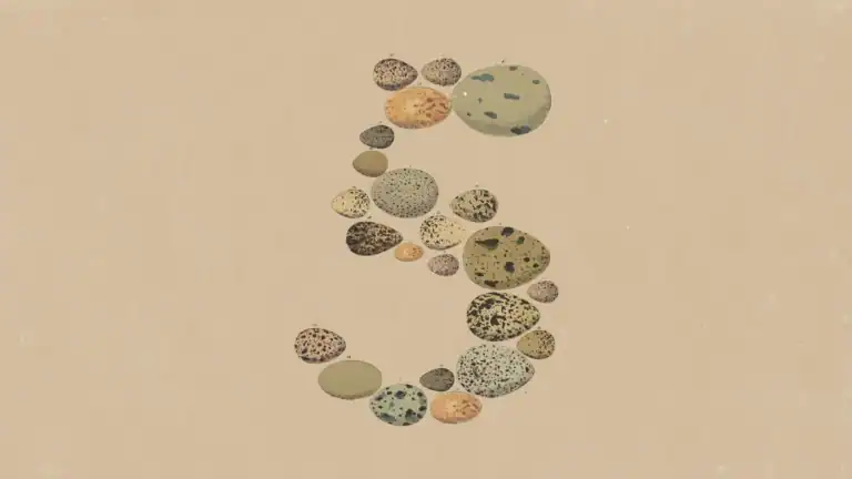 클로드 업데이트 소식 : Opus 5, 가격은 더 싸고 성능은 비슷