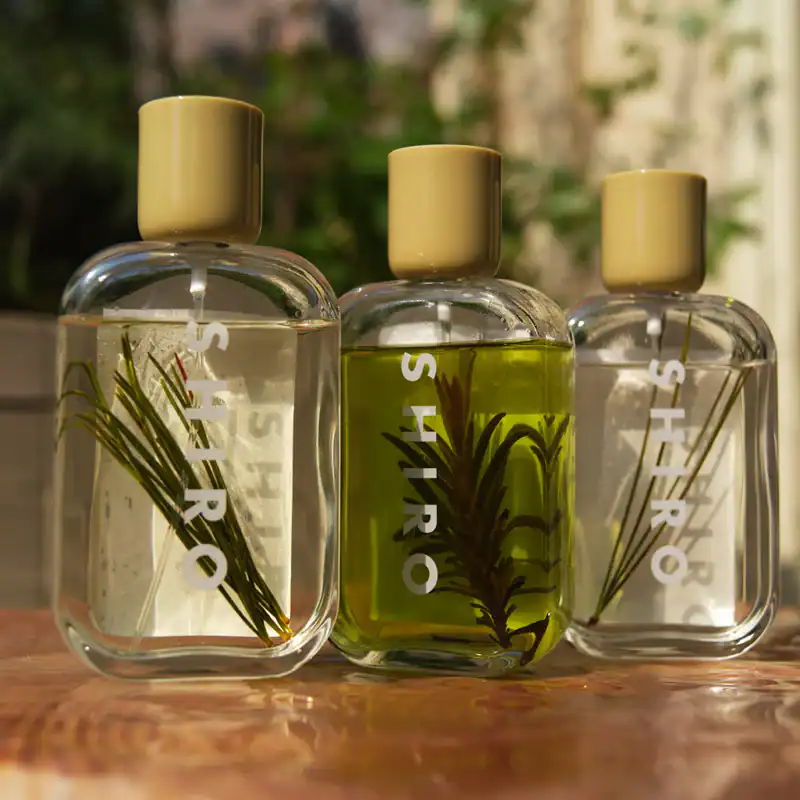 시로 허브 블렌더 랩