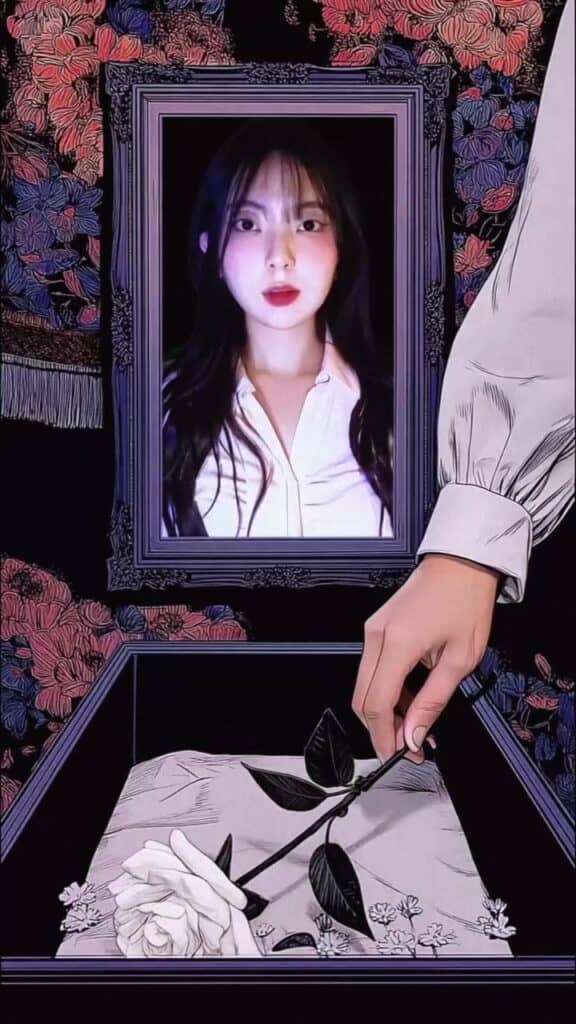 sooy1.0 3