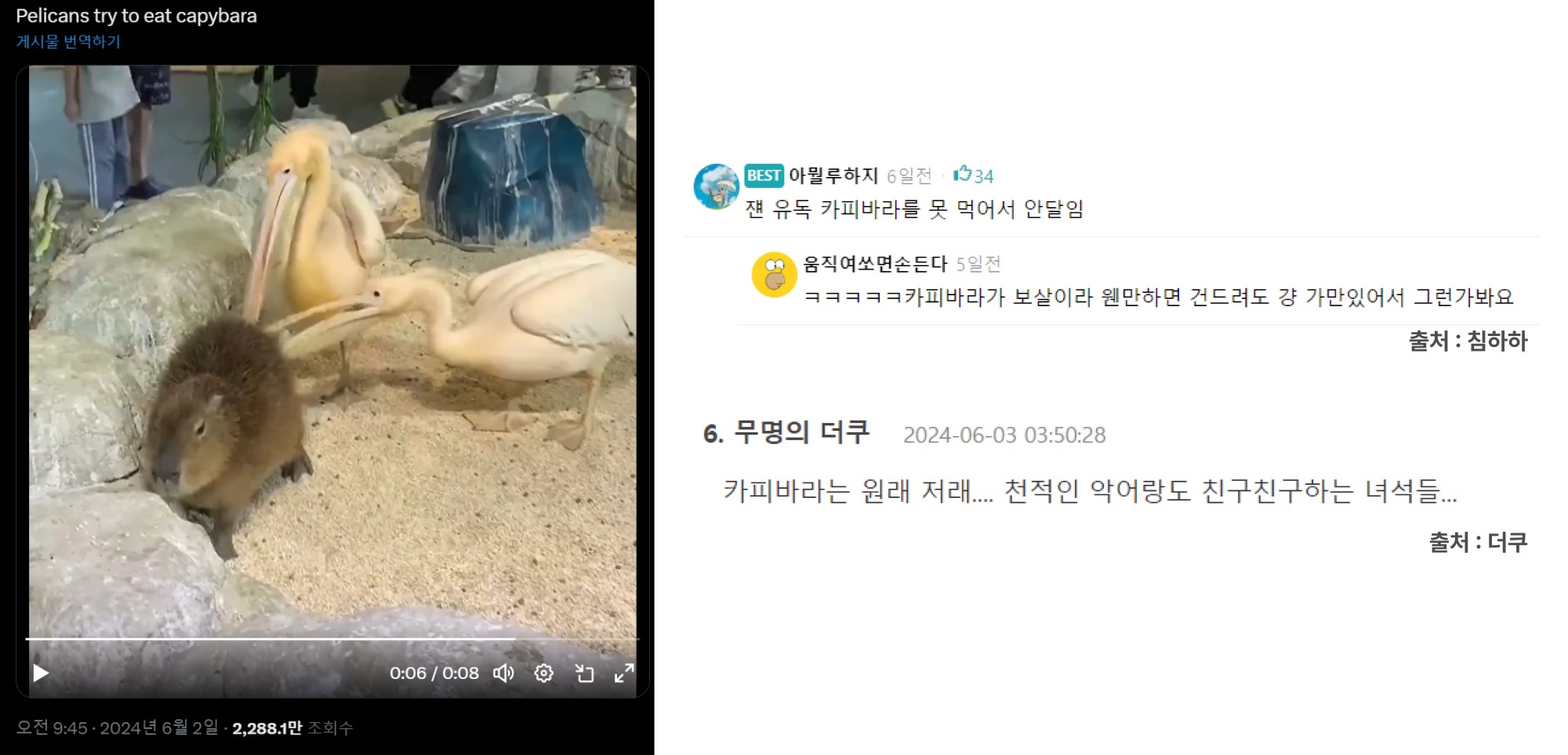 tistory 1315 AAAAAAAAAAAAAAAAAAAAAL95zXJ9JcSXUxkE58TFRcHXQFbgbS1M6TgbqxNKqmdm img