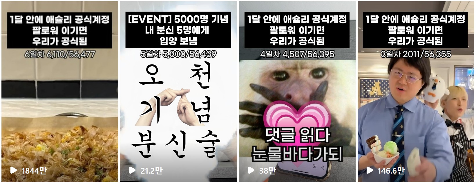 공식 계정