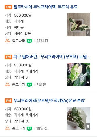 tistory 705 AAAAAAAAAAAAAAAAAAAAADNpddMcZ10ecbnhkljNiLZqiEo7cHT3TKOv qa1P31Z img
