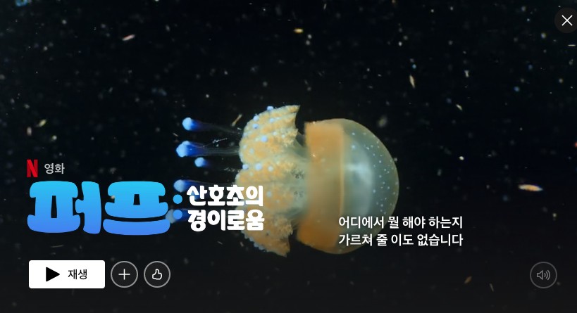tistory 821 2022 11 07 2.08.22