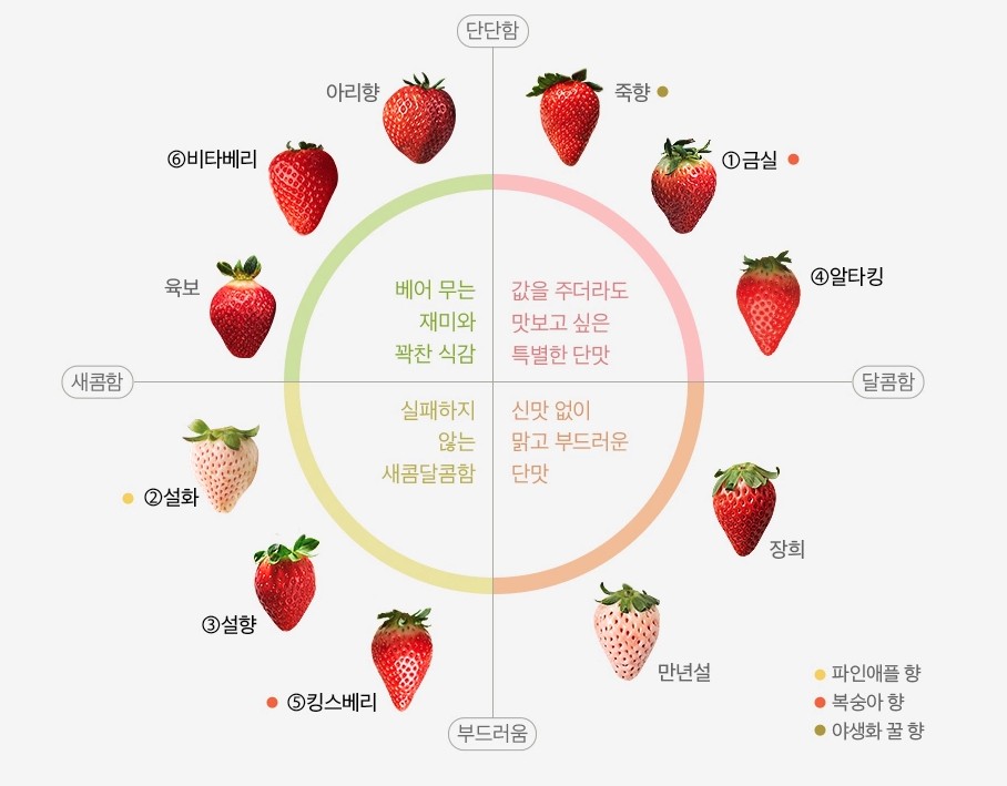 새벽배송 카테고리로 트렌드 알아보기 19 tistory 870 AAAAAAAAAAAAAAAAAAAAAGQKn CBJQ5 MXI JTqDn5wQXjMCe TNyvstl3MCN6CZ img