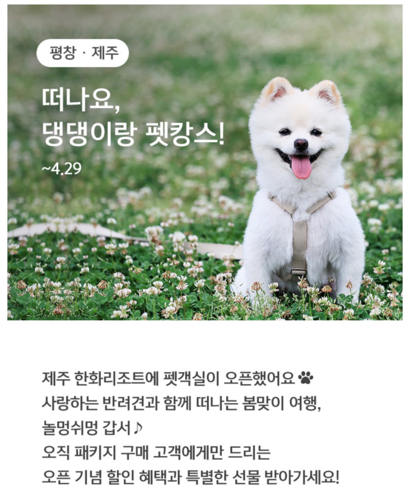 호캉스 추천! 한화리조트의 대변신 12 tistory 932 AAAAAAAAAAAAAAAAAAAAAJXiXSl7 het5Jg1ycOIIEhkVoespkOGZzpz9fHmhcOq img