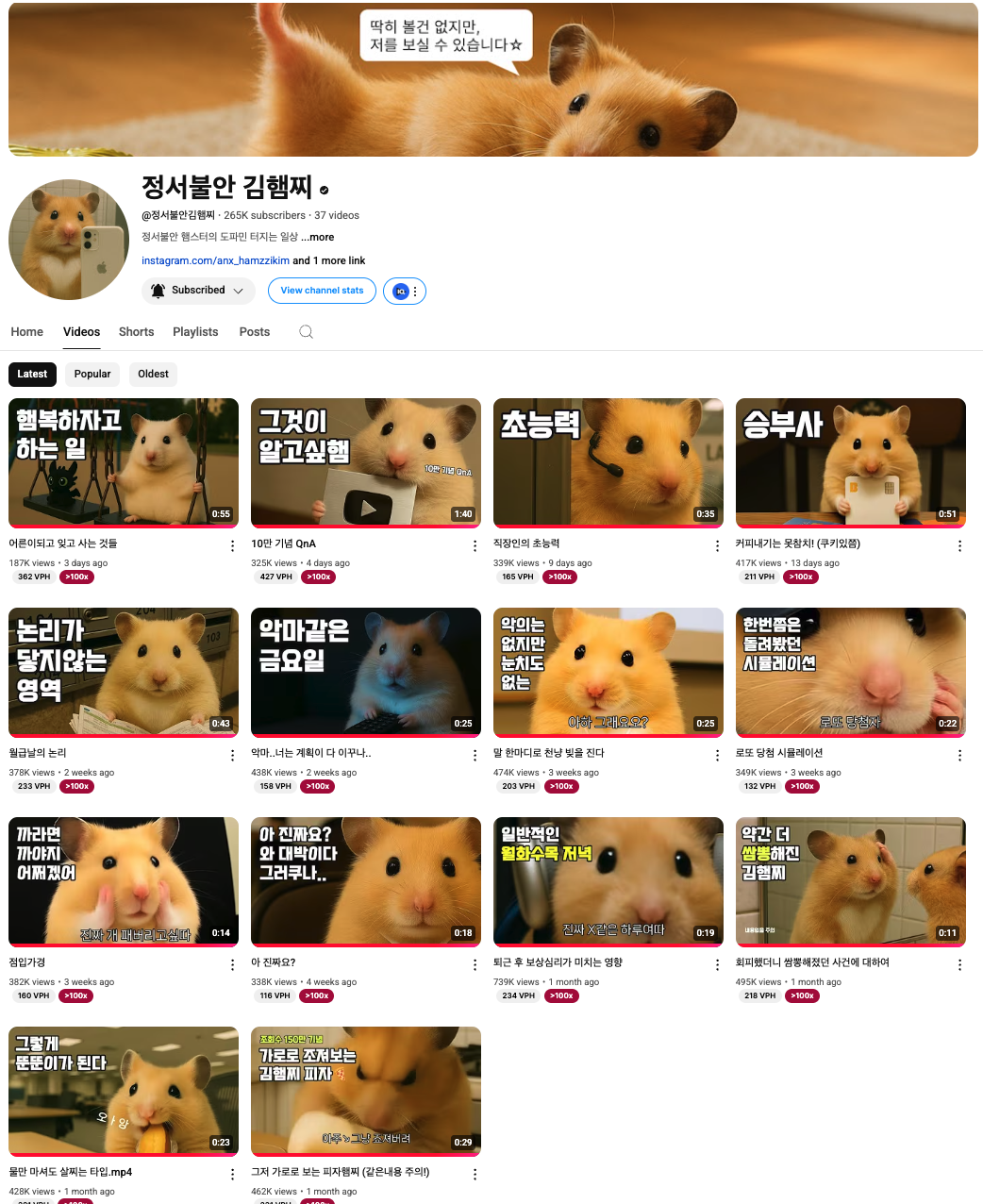 정서불안 김햄찌가 보여준 초고속 성장, 마케터가 주목해야할 포인트는? 8 김햄찌, 정서불안 김햄찌
