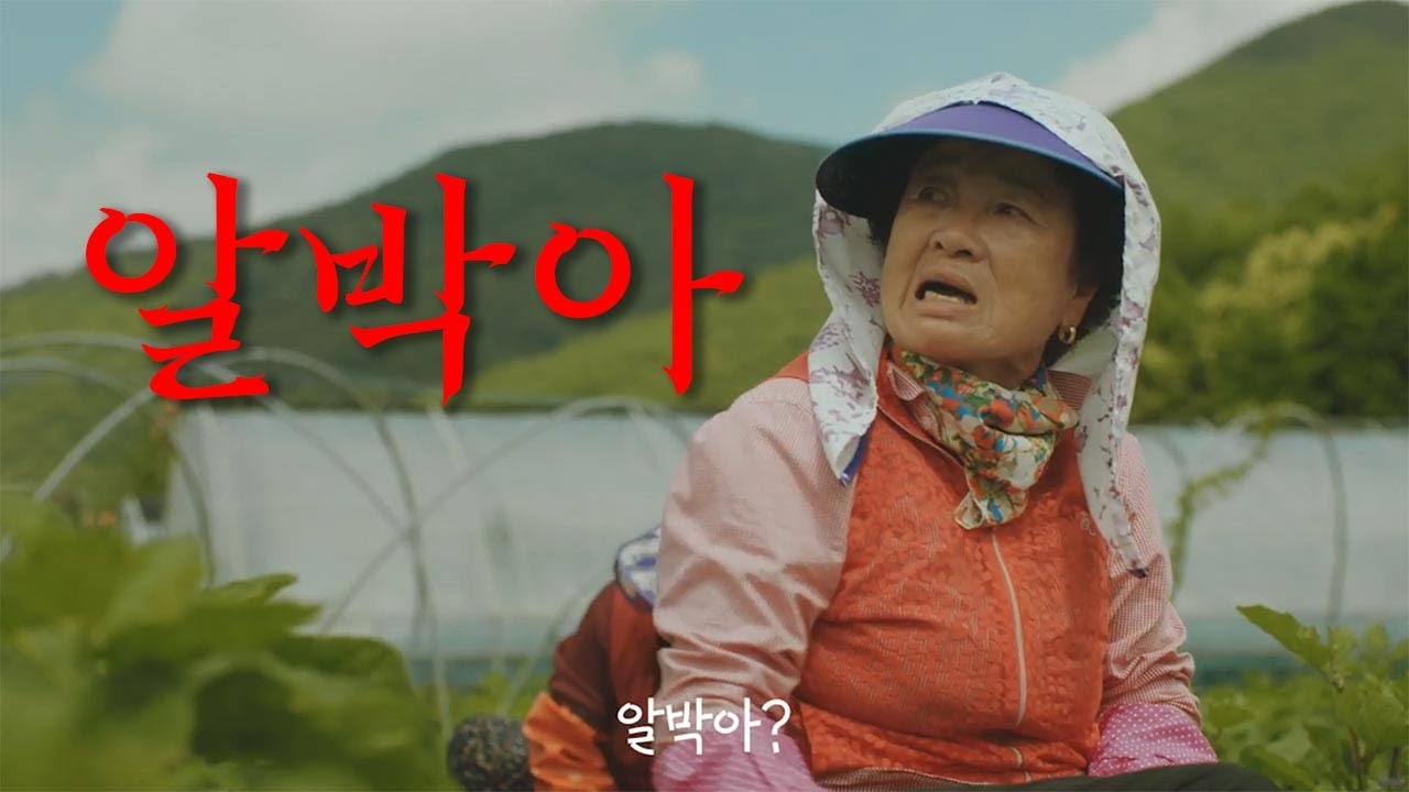 시골 할매로 조회수 430만회 달성한 광고 <알바몬으로 알박아> 7 %E1%84%8B%E1%85%A1%E1%86%AF%E1%84%87%E1%85%A1%E1%86%A8%E1%84%8B%E1%85%A1