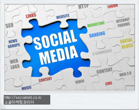 2012 소셜미디어 영향
