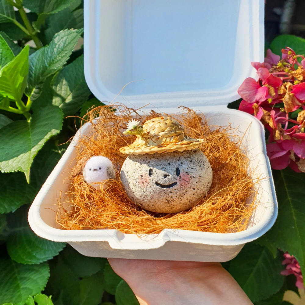 MZ들의 새로운 취미! '반려돌' 키우기 10 AAAAAAAAAAAAAAAAAAAAAAO8Acq8P5v6lwySgu1bP90srBSbD3psVjrucCFWABnt img