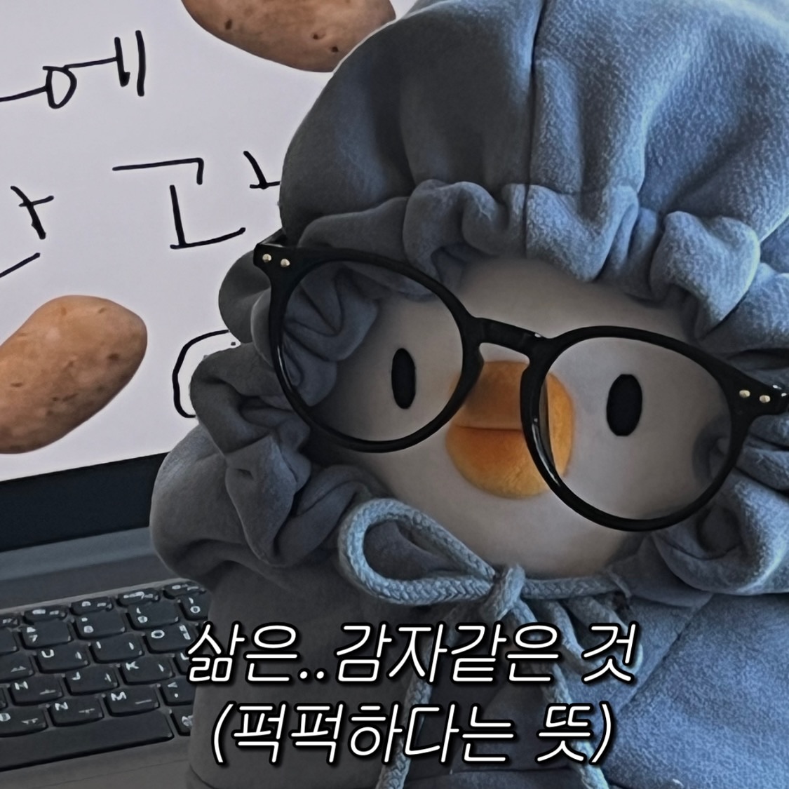 AAAAAAAAAAAAAAAAAAAAACiwPnG PLAn1fvhD4NnMUln5LwlmZV0u8yyCD0100yQ img