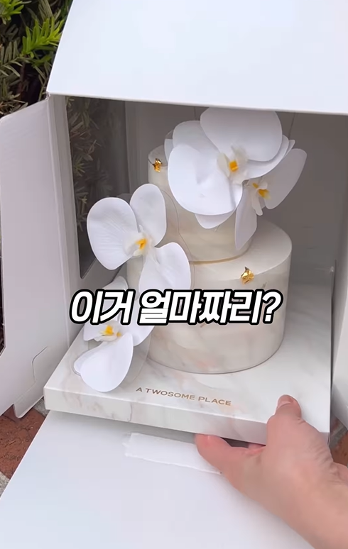 투썸 케이크, 왜 ‘핫’하면서도 ‘논란’인가? 16 AAAAAAAAAAAAAAAAAAAAAD2QXJbMc fLlkGsL7zPqLvlNkfmWWQdSvLcAPnF gMK img