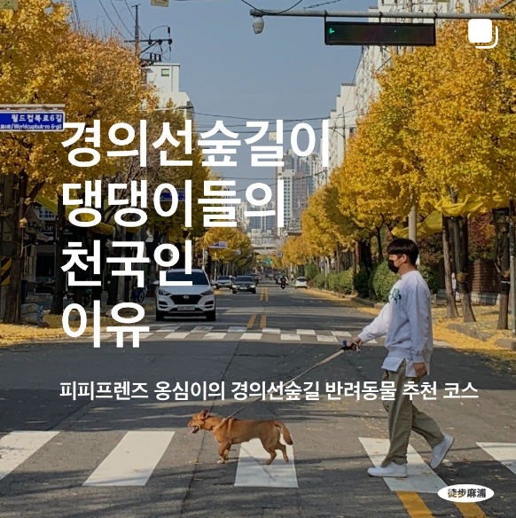 34년차 마포 토박이가 소개하는 마포구 <도보마포> 13 AAAAAAAAAAAAAAAAAAAAAGOrWfl7fvuZtR1uVihh5g2cxt8BnUh 1H3vngfVNhUW img