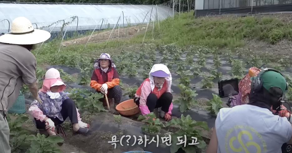 시골 할매로 조회수 430만회 달성한 광고 <알바몬으로 알박아> 10 AAAAAAAAAAAAAAAAAAAAAJuaBhIGu14R2g5urZ2WZykNDLJ D2AedzAE NK5QGDo img