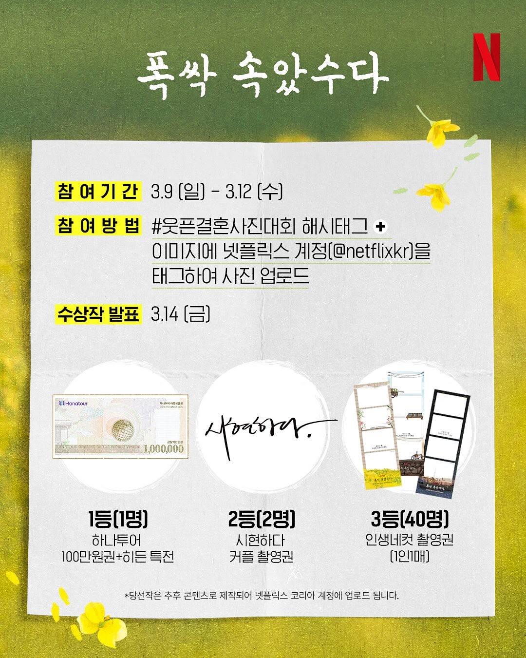 드라마만큼 탄탄했던 <폭싹 속았수다>의 감다살 홍보 마케팅 17 AAAAAAAAAAAAAAAAAAAAAKWUI3F911vgZPnyqnIfBmzZjWTIv8LbCTkq6pmpw 0L img