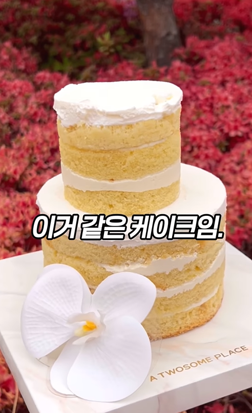 투썸 케이크, 왜 ‘핫’하면서도 ‘논란’인가? 17 AAAAAAAAAAAAAAAAAAAAALIldA3Lqxohtf03pv8JaFK7o5cqg7yZMf5T5DByKKlp img