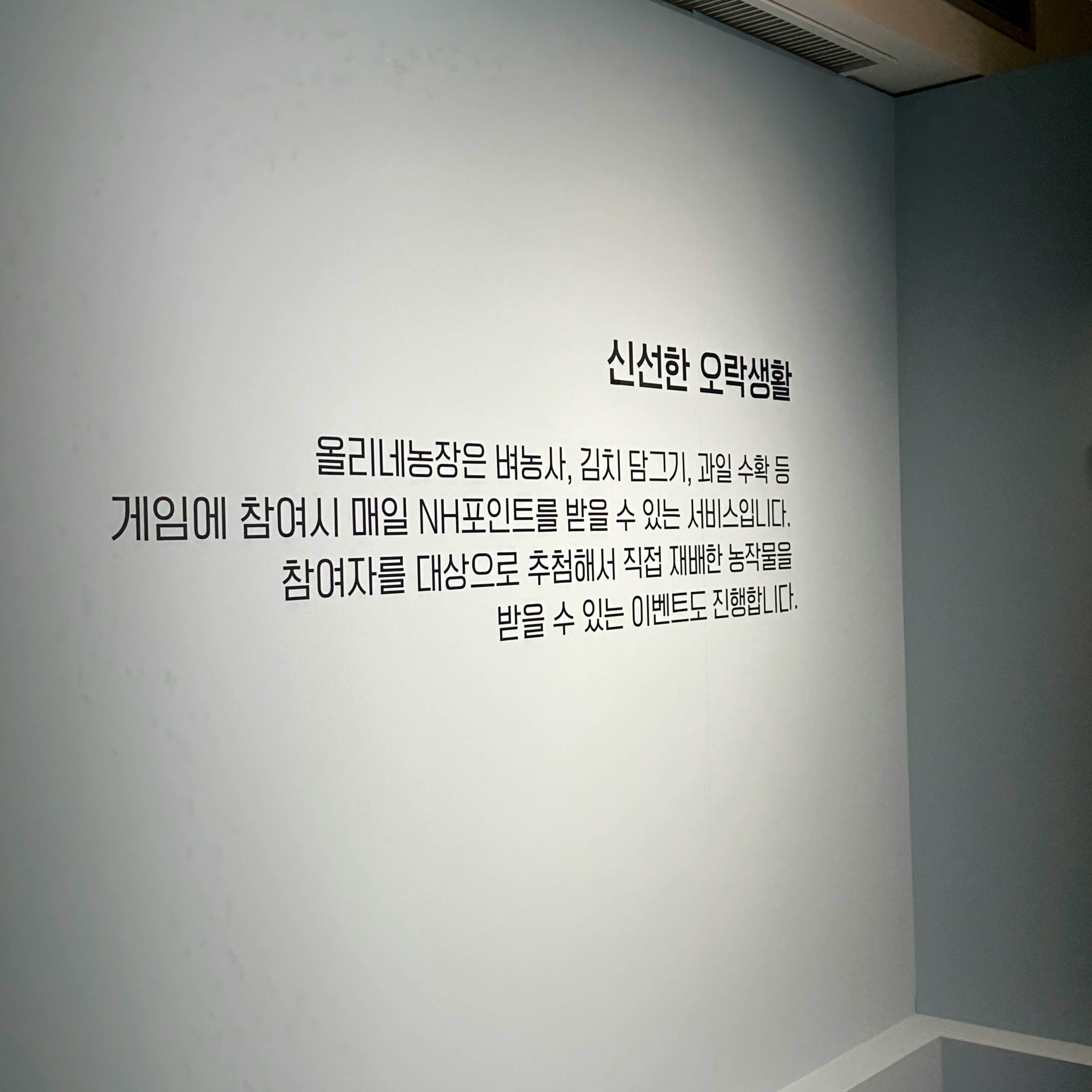 농협은행: 우리도 MZ 타겟으로 간다! | 신선놀음 팝업스토어 24 AAAAAAAAAAAAAAAAAAAAANyci 5x23pbDV s5FxPiBDvY1apC1aPoTif2dpLwFkX img