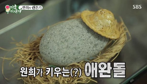 MZ들의 새로운 취미! '반려돌' 키우기 8 반려돌