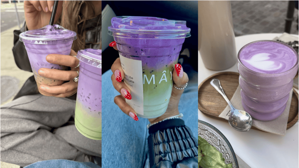 F&B 트렌드 우베