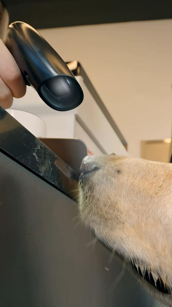 만우절에도 마케팅 잘한 브랜드 총정리 37 카카오페이 만우절2